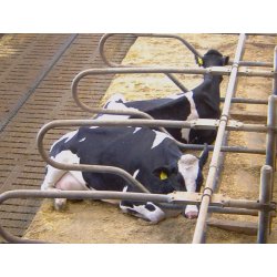 easy-way granuleret strelse, palle  48 x 16 kg sk