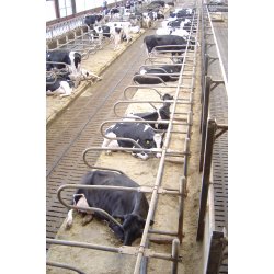 easy-str, 25 kg balle