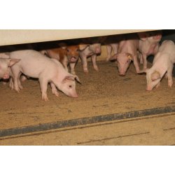 easy-way granuleret strelse, palle  48 x 16 kg sk