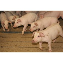 easy-way granuleret strelse, 16 kg sk