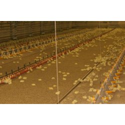 easy-way granuleret strelse, palle  48 x 16 kg sk